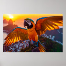 Macaw over Rio De Janeiro horizontal poster