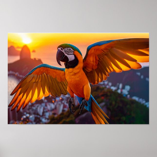 Macaw over Rio De Janeiro horizontal poster (Front)