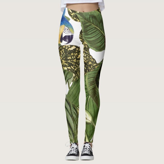 Macaw Parrot Bird All Over Print Leggings (Front)