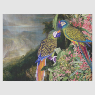 Macaw Parrot Bird Rain Forest Animals Tissue Paper