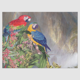 Macaw Parrot Bird Rain Forest Animals Tissue Paper