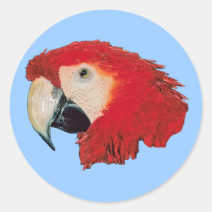 Macaw Parrot Bird Stickers