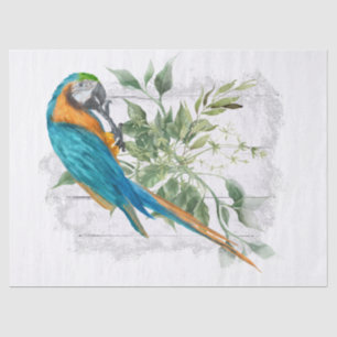 Macaw Parrot Blue Orange Eucalyptus Watercolor Tissue Paper