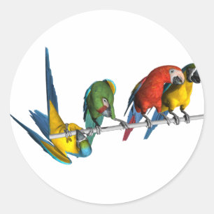 Macaw Parrot Classic Round Sticker