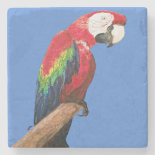 Macaw Parrot Coaster. Original Art Stone Coaster