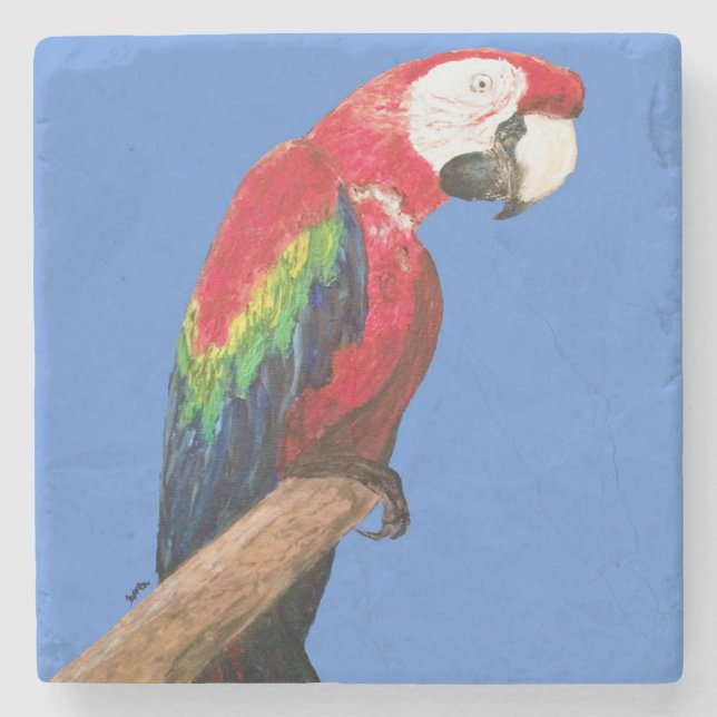 Macaw Parrot Coaster. Original Art Stone Coaster (Front)