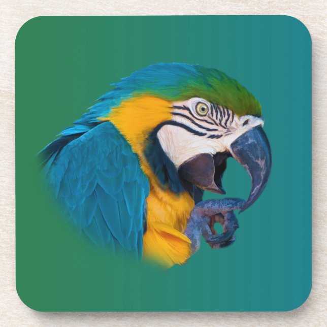 Macaw Parrot, Customisable Cork Coaster (Front)