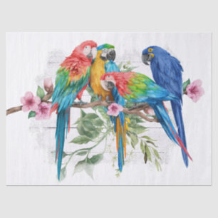 Macaw Parrot Eucalyptus Watercolor Tissue Paper