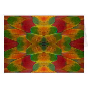Macaw parrot feather kaleidoscope