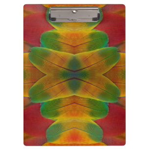 Macaw parrot feather kaleidoscope clipboard