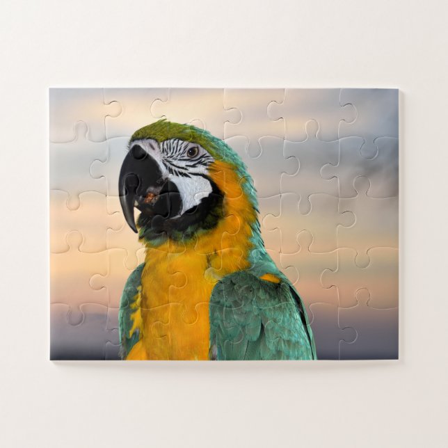 Macaw parrot jigsaw puzzle (Horizontal)