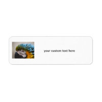 Macaw Parrot - Labels