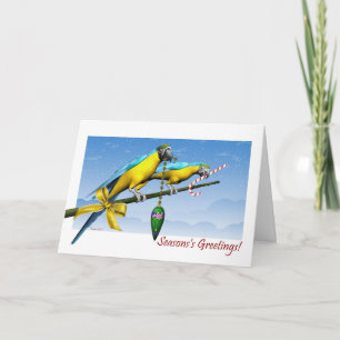 Macaw Parrot Ornaments Season's Greetings Card
