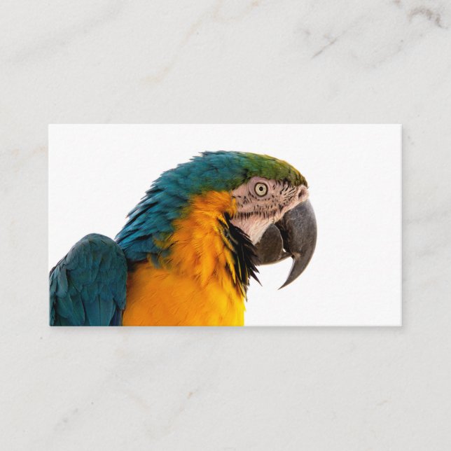 Macaw Parrot Photo Enclosure Card (Front)