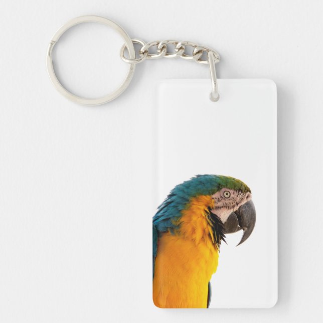 Macaw Parrot Photo Key Ring (Front)