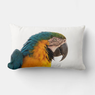 Macaw Parrot Photo Lumbar Cushion