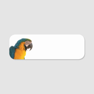 Macaw Parrot Photo Name Tag