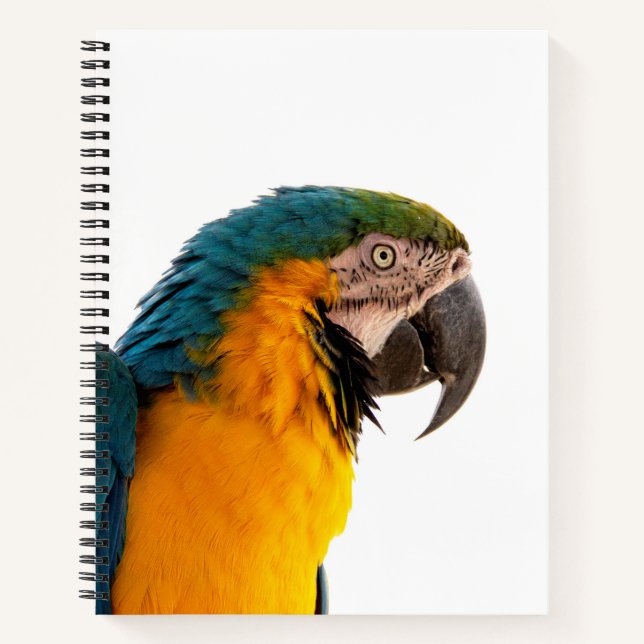 Macaw Parrot Photo Notebook (Front)