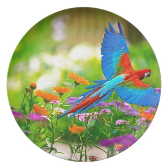 Macaw Parrot Plate (Front)