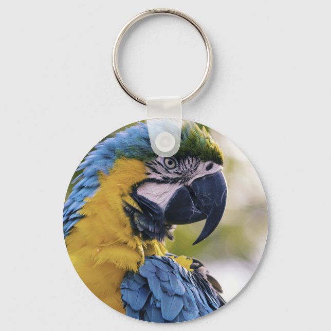 Macaw Parrot Profile Portrait Photograph Key Ring (Front)