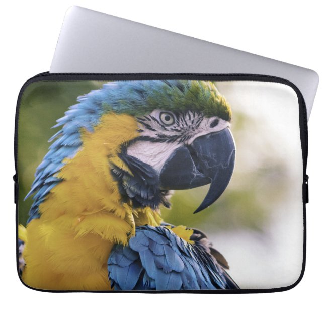 Macaw Parrot Profile Portrait Photograph Laptop Sleeve (Front)