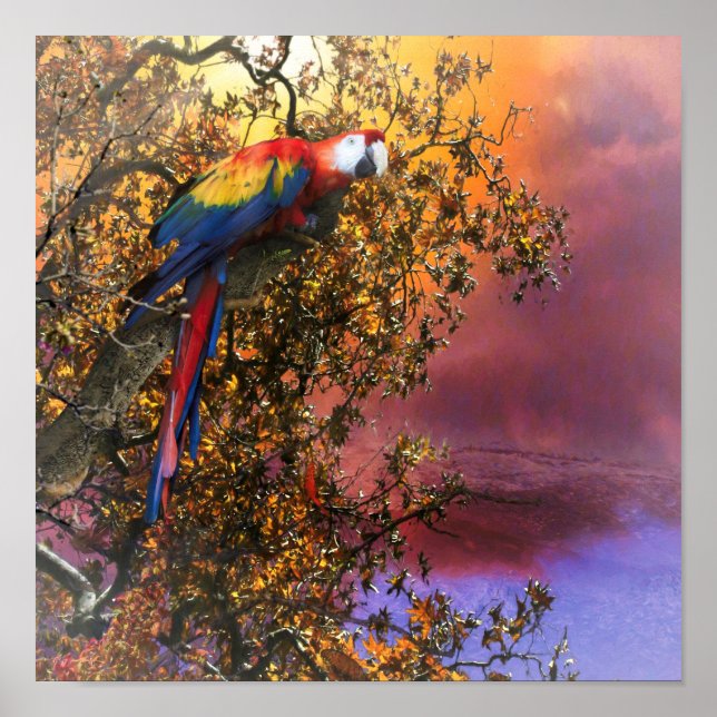 MACAW PARROT RAIN FOREST OUTPOST POSTER (Front)