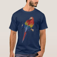 Macaw Parrot Red Yellow Blue Green Bird
