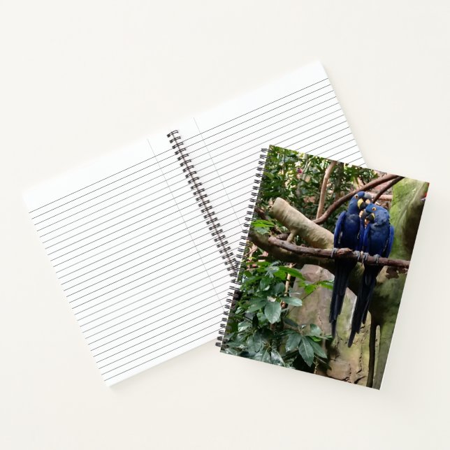 Macaw Parrot Spiral Notebook (Inside)