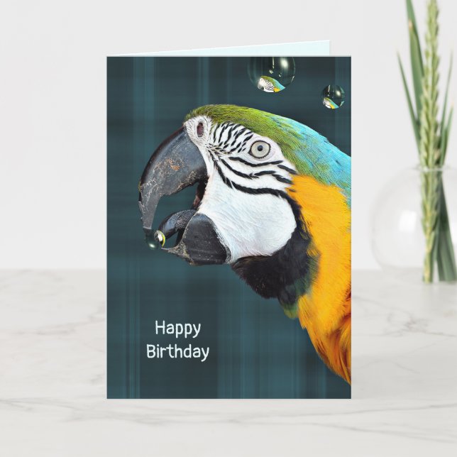 Macaw parrot with bubbles birthday on plaid card (Front)