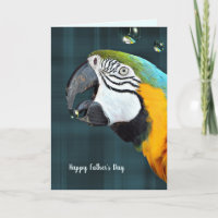 Macaw parrot with bubbles on plaid Father's Day