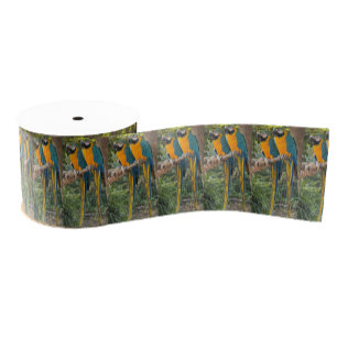 Macaw Parrots Photo Ribbon Grosgrain Ribbon