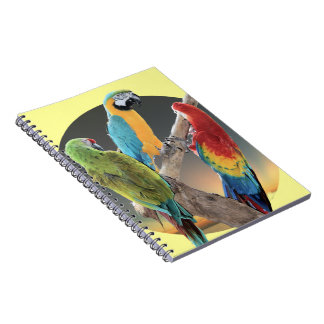 Macaw Parrots Spiral Notebook