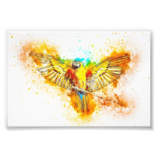Macaw Photo Print (Front)