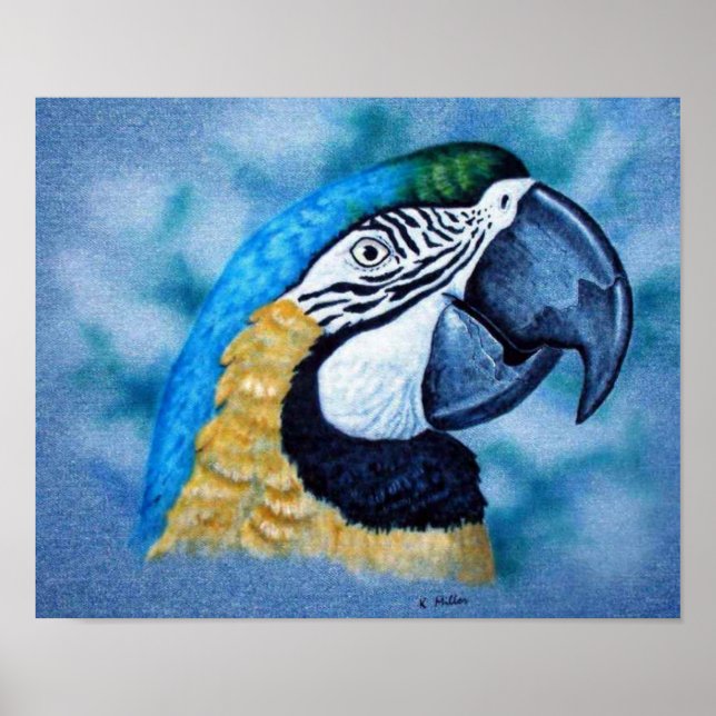 Macaw Poster (Front)