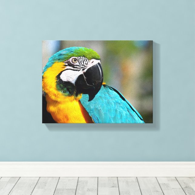 Macaw Print, Value Poster Paper (Matte) Canvas Print (Insitu(Wood Floor))
