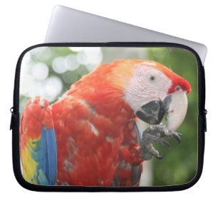 macaw scarlet laptop sleeve