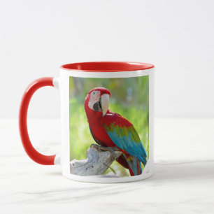 Macaw sitting on branch mug