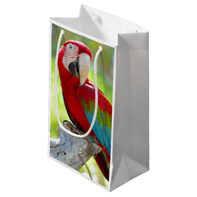 Macaw sitting on branch small gift bag (Front Angled)