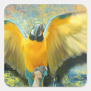 Macaw Square Sticker