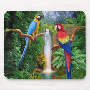 Macaw Tropical Parrots Mouse Pad