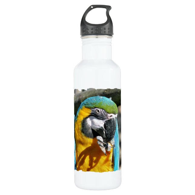 MACAWS 710 ML WATER BOTTLE (Front)
