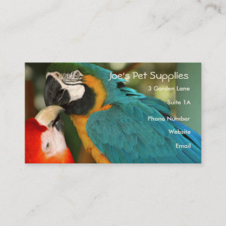 Macaws Business Cards