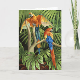 Macaws Card