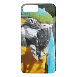 MACAWS Case-Mate iPhone CASE