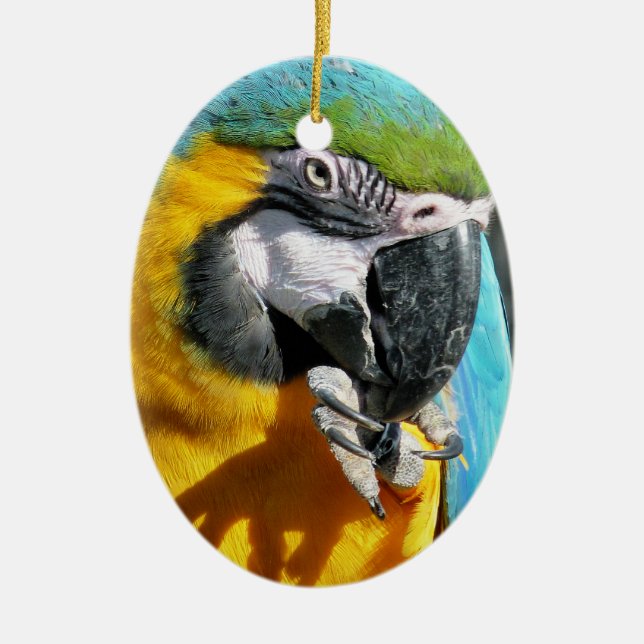 MACAWS CERAMIC TREE DECORATION (Front)