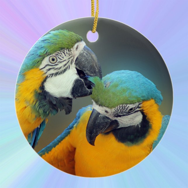 Macaws in love ceramic tree decoration (Creator Uploaded)
