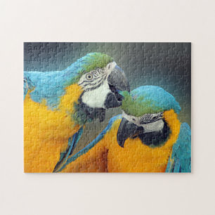 Macaws in love jigsaw puzzle