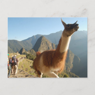Macchu Picchu Postcard