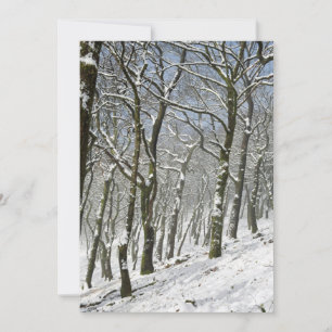 Macclesfield Forest Winter Card
