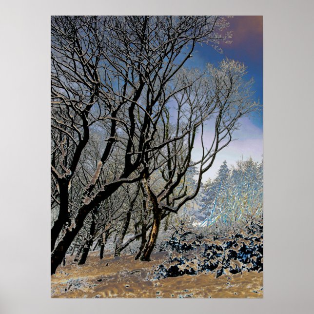 Macclesfield Forest Winter Card Acrylic Print (Front)